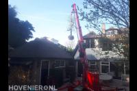 Boom planten mbv telescoopkraan
