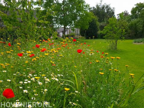 wilde bloementuin aanleggen via tuinadvies en plan-florera.nl