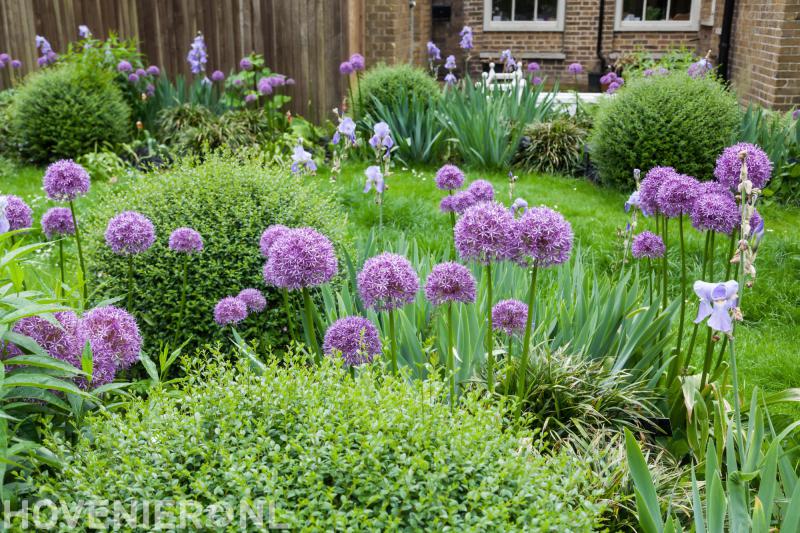 Van Hovenier tot Klusser Rob Vis