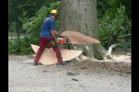 Konijnenberg Bos en Groen