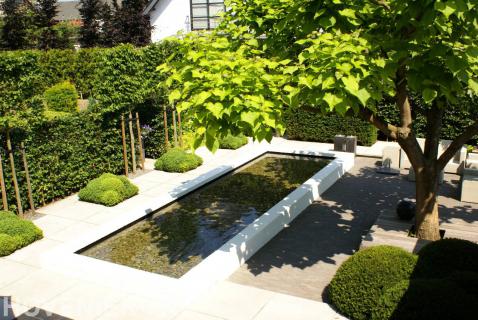 Moderne tuin met vijver