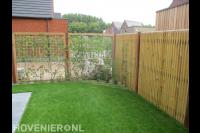 Tuinaanleg met gazon en schutting van betongaas met klimop