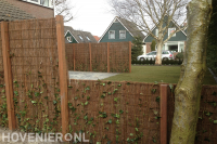 Schutting van heidematten met klimop