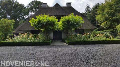 Voortuin bij villa met kleurrijke beplanting en dakplatanen