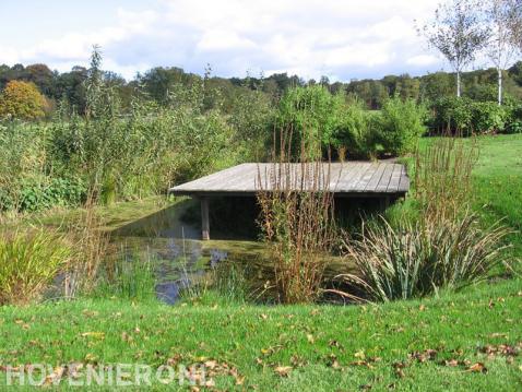 Houten vlonder bij natuurlijke vijver