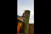 Boomstam in stukken zagen