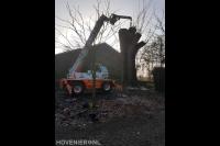 Wiegersma Boomverzorging