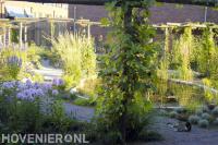 Tuin met vijver en pergola