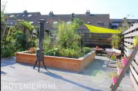 Kleurrijke tuin met plantenbak van Douglas hout en zonnedoek 1