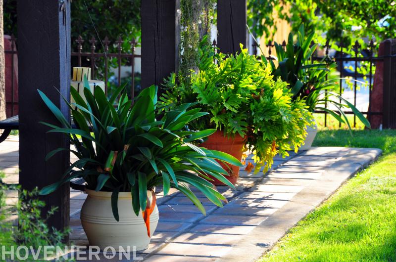 Hoveniersbedrijf Joey Hendriks