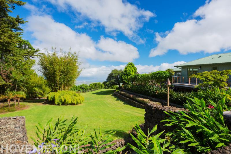 Van der Hoorn hovenier