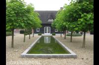 Trompetbomen langs strakke vijver bij boerderij