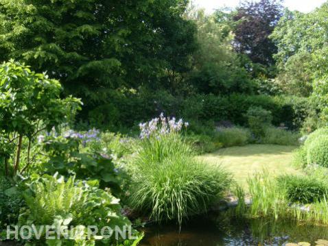 Groene tuin met gazon en natuurlijke vijver