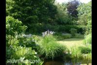 Groene tuin met gazon en natuurlijke vijver