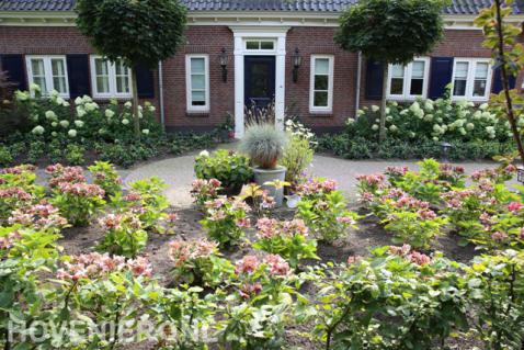 Tuin met rozen en hortensia's