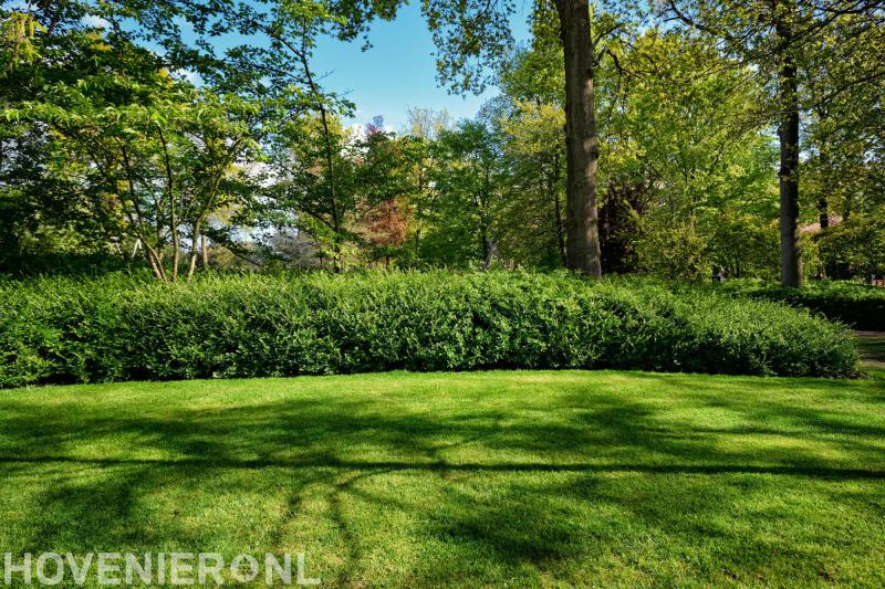 Roovers Bos- en Boomverzorging