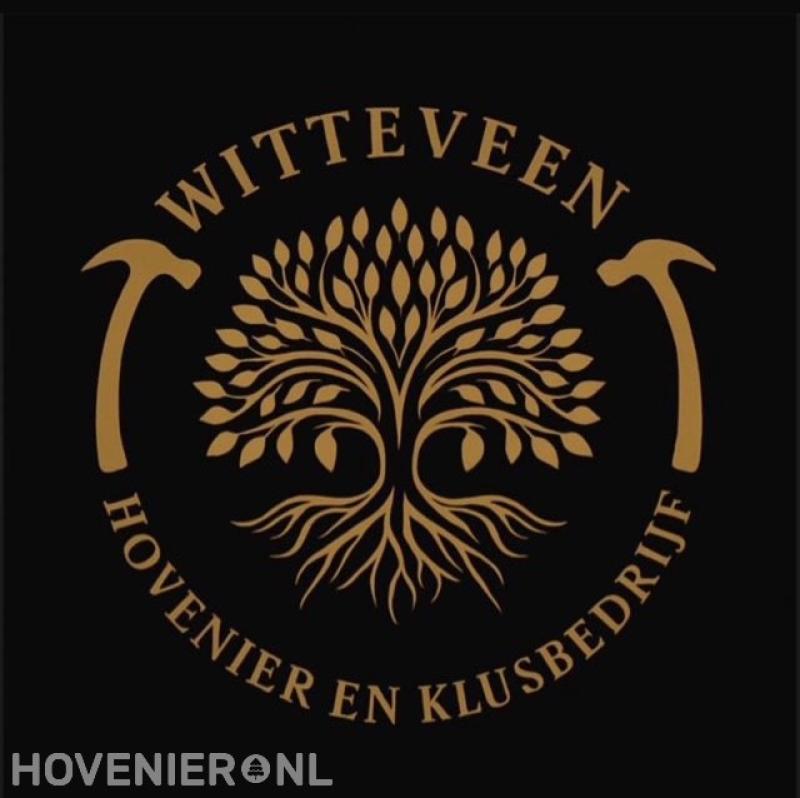 Witteveen