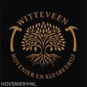 Witteveen