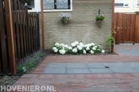Tuin met houten schutting en bestrating van klinkers en betontegels 1
