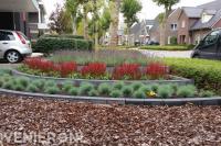 Border van meerdere niveaus met kleurrijke beplanting