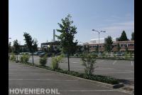 Onderhoud parkeerplaats ziekenhuis
