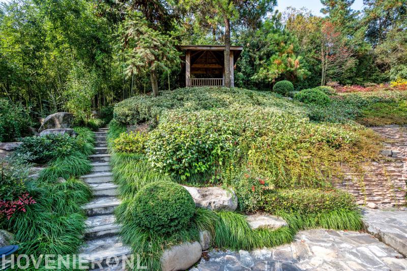 Zandee Groenprojecten