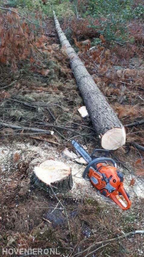 Bomen kappen