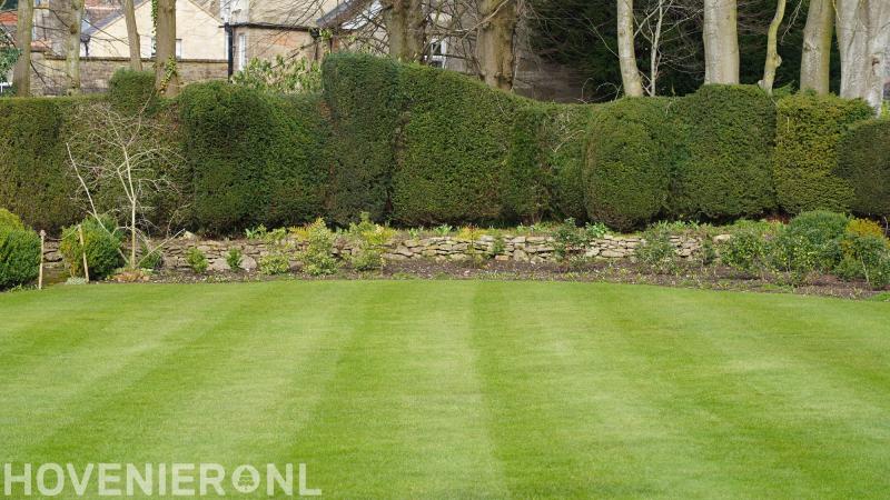 Hoveniers Bedrijf Orlemans