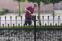 Hoveniersbedrijf Harbers