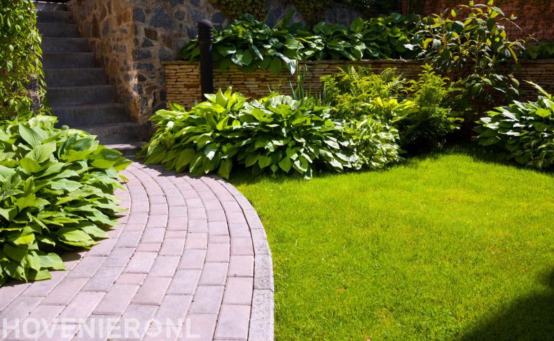 Hoveniersbedrijf Ronny Hulzink