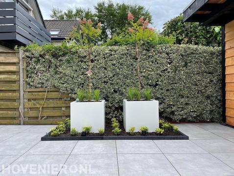 Aanleg achtertuin Zwijndrecht