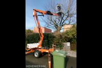 Plataan snoeien met inzet van een hoogwerker