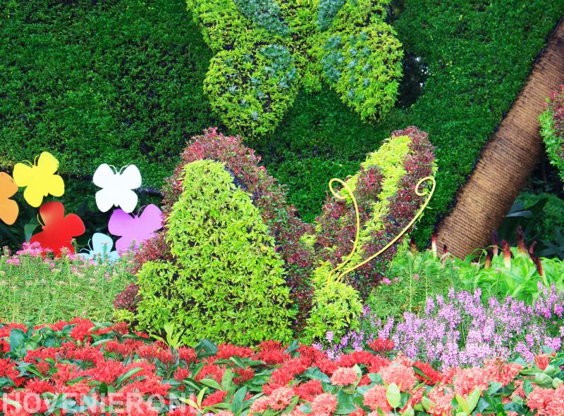 Hovenier Ron van der Meer