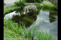 Heldere vijver met rotsblok waterornament