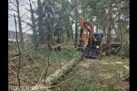 Bosje dunnen met behulp van mobiele kraan