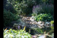 Waterloop naar vijver