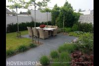 Terras van grote tegels met dakplatanen