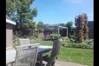 Achtertuin met gazon en terras met pergola en loungeset