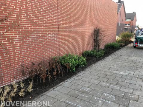 renovatie zijtuin, Kudelstaart