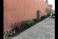 renovatie zijtuin, Kudelstaart