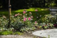 Landelijke tuin met sierbestrating