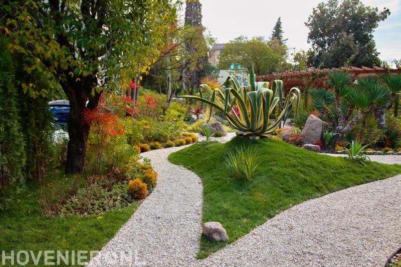 Hovenier Vincent van Loenen