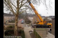 snoeien/zagen met behulp van een kraan