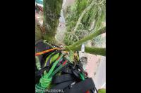 Connect Boomverzorging