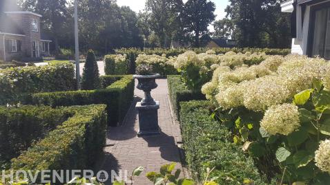 Klassieke tuin met hagen en hortensia's