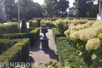 Klassieke tuin met hagen en hortensia's
