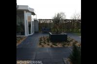 Strakke tuin met sierbestrating en plantenbak met olijfboom