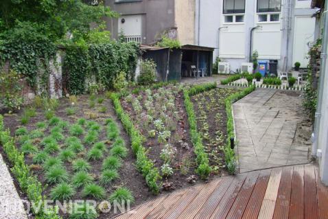 Nieuwe beplanting in border