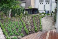 Nieuwe beplanting in border