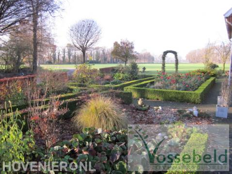 Landelijke tuin met hagen en veel verschillende beplanting